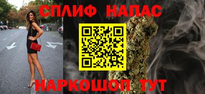 стаф Малгобек