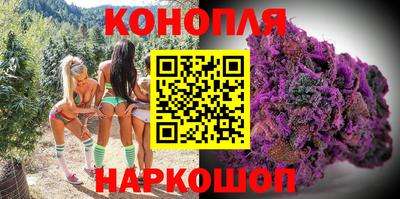 стаф Малгобек