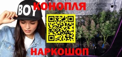 стаф Малгобек