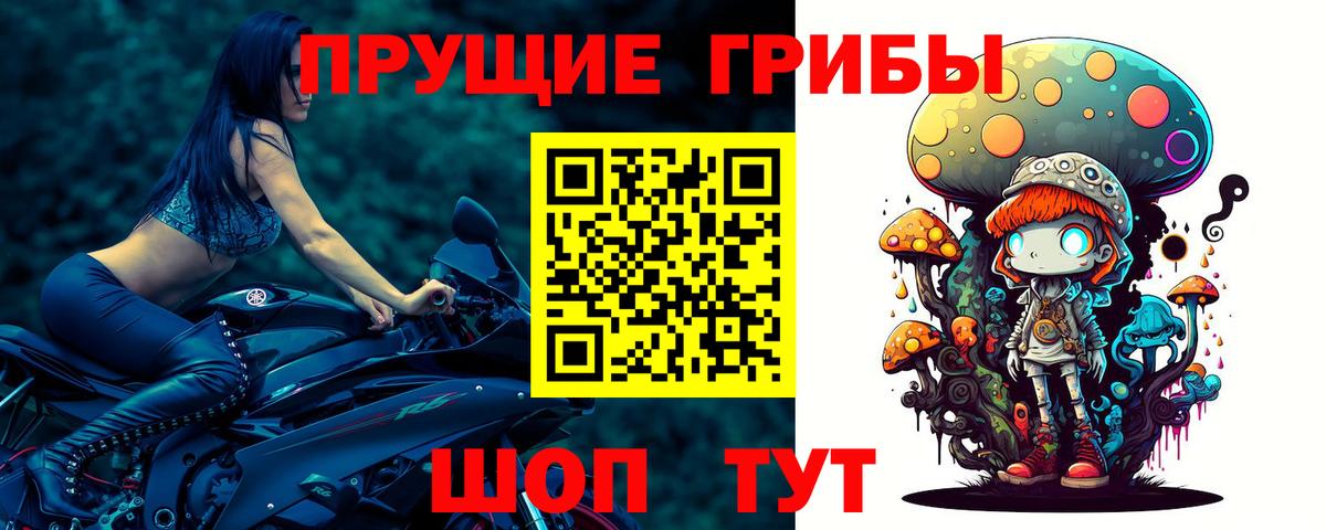 Псилоцибиновые грибы мицелий Таганрог